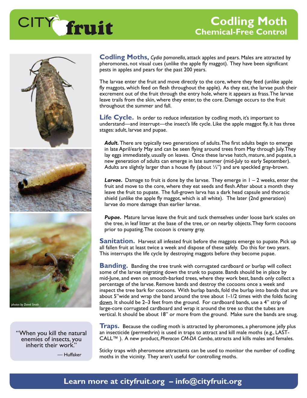 Codling Moth Chemical-Free Control