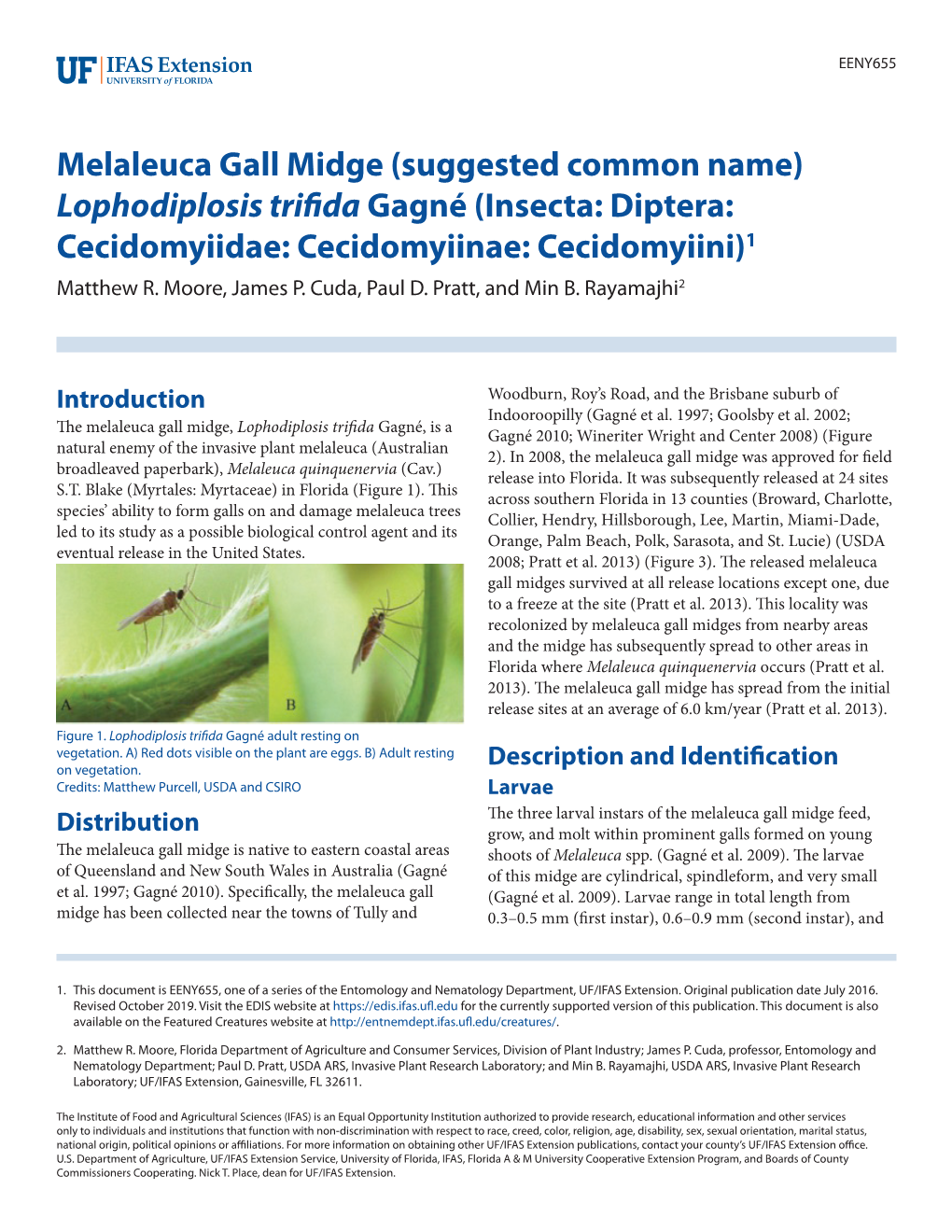 Melaleuca Gall Midge (Suggested Common Name) Lophodiplosis Trifida Gagné (Insecta: Diptera: Cecidomyiidae: Cecidomyiinae: Cecidomyiini)1 Matthew R