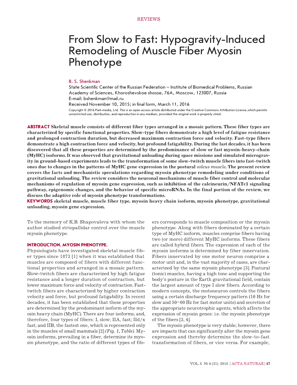 Hypogravity-Induced Remodeling of Muscle Fiber Myosin Phenotype