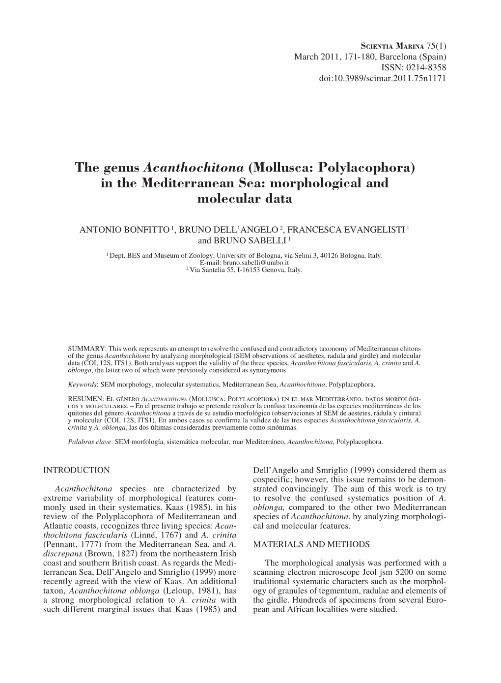 The Genus Acanthochitona (Mollusca: Polylacophora) in the Mediterranean Sea: Morphological and Molecular Data