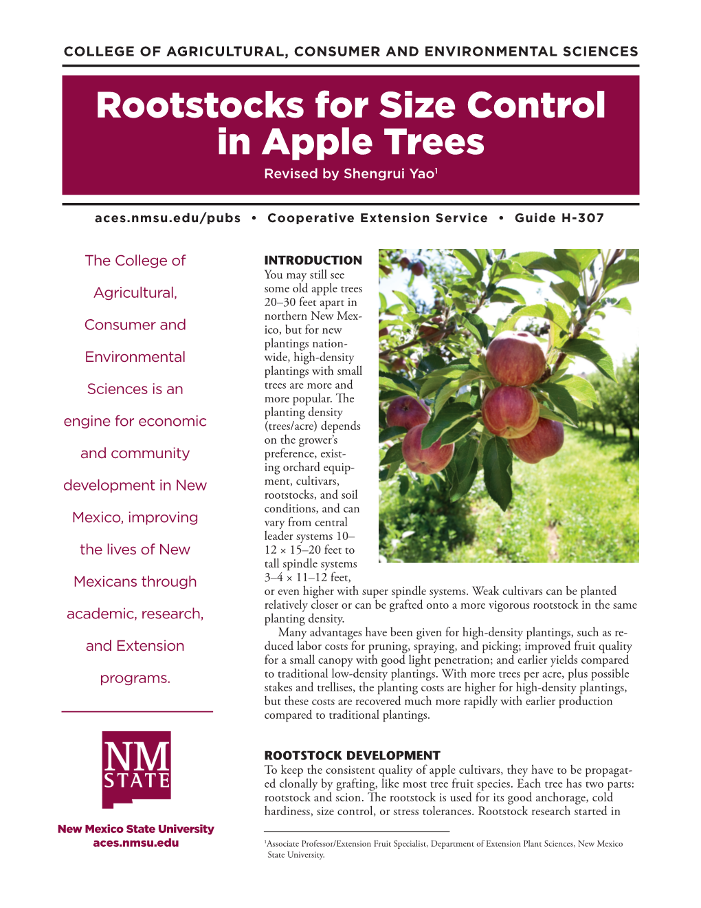 Rootstocks for Size Control in Apple Trees