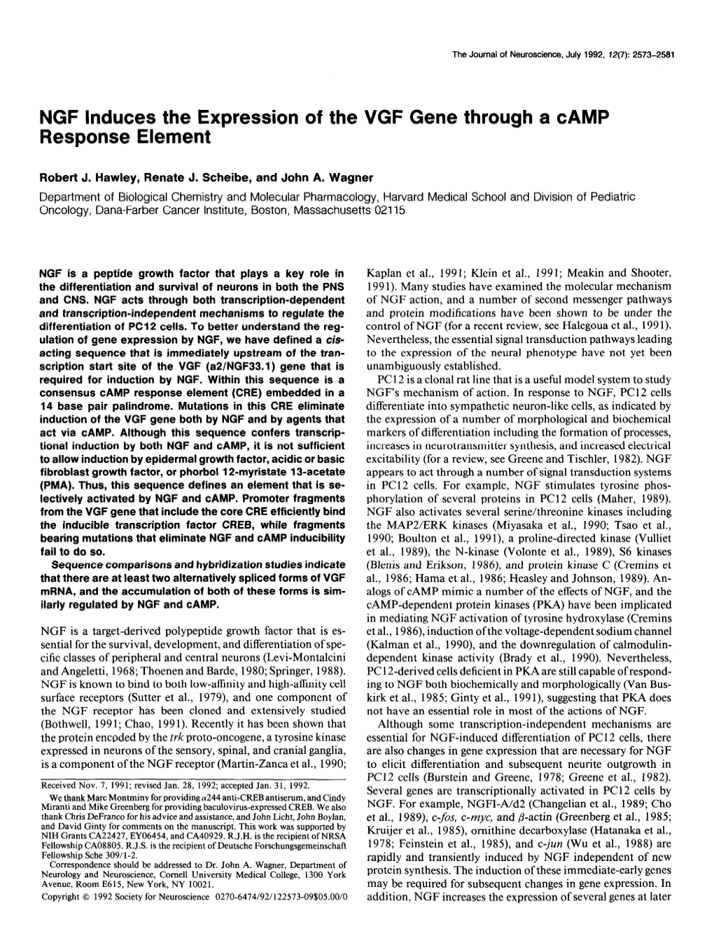 NGF Induces the Expression of the VGF Gene Through a CAMP Response Element