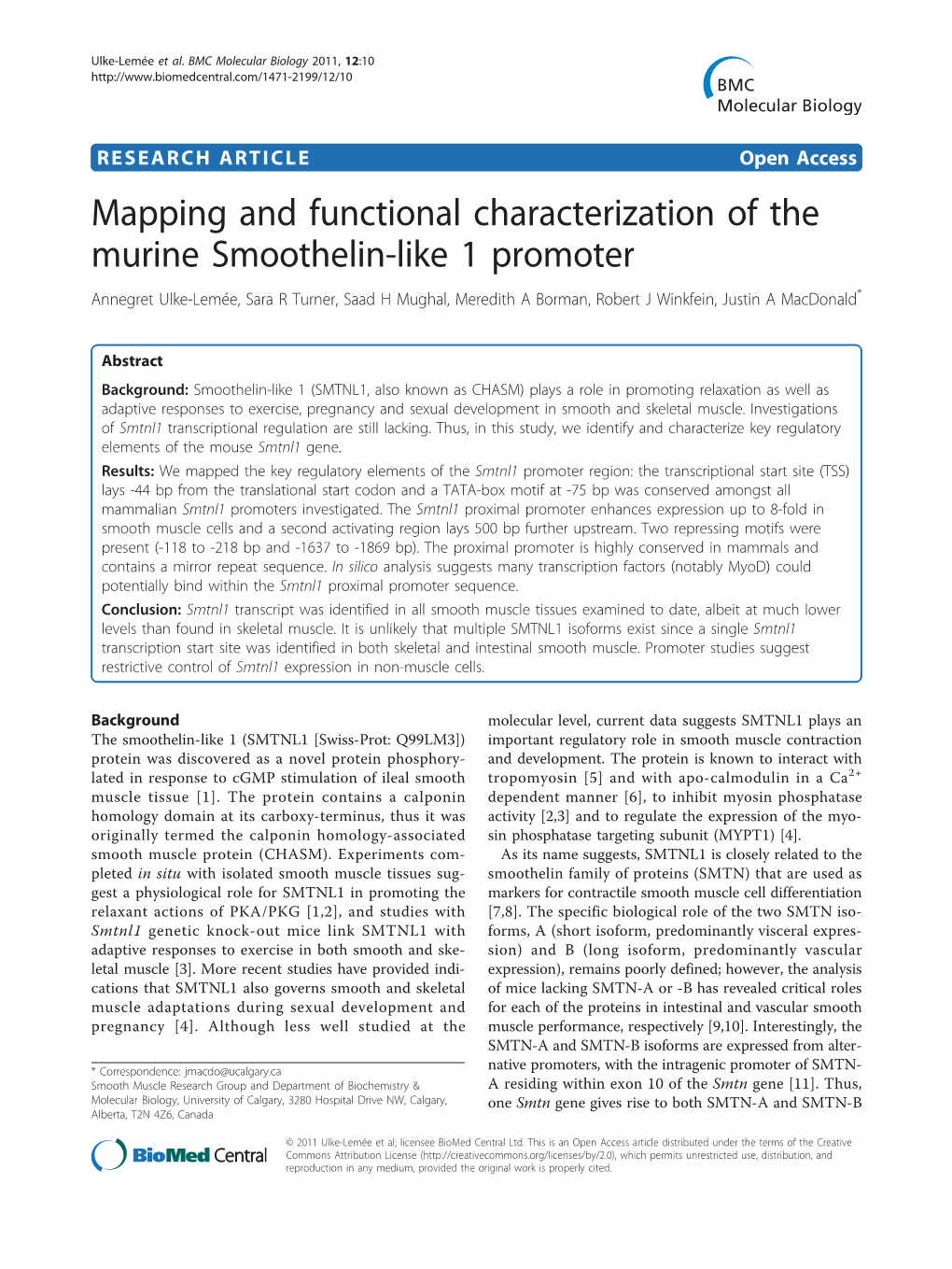 Mapping and Functional Characterization of the Murine Smoothelin-Like 1 Promoter