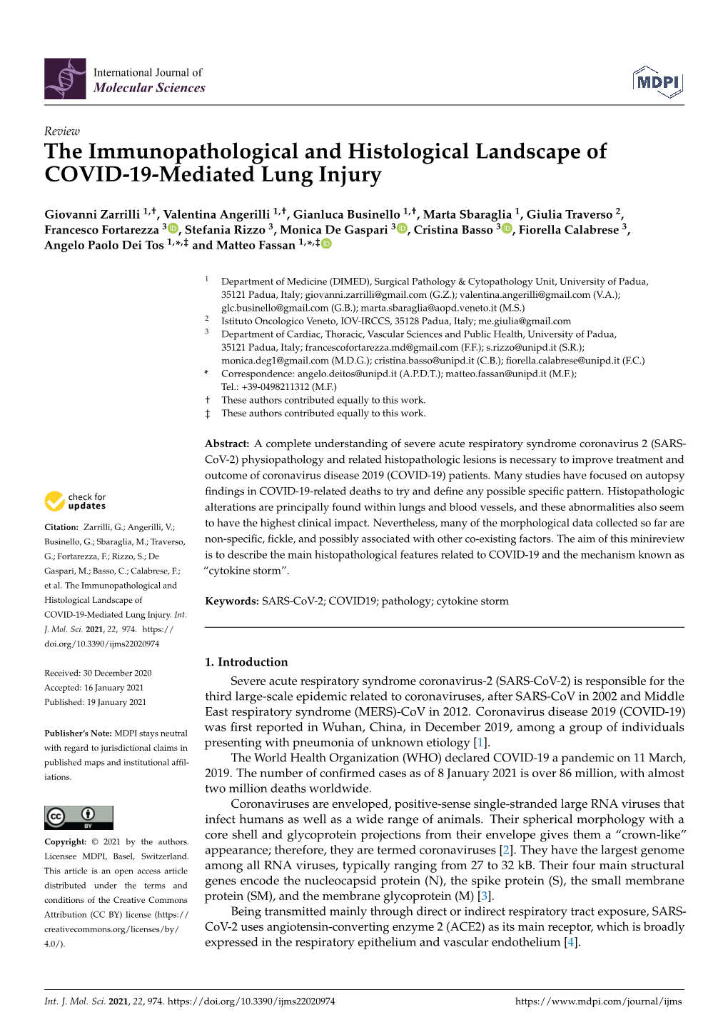 The Immunopathological and Histological Landscape of COVID-19-Mediated Lung Injury