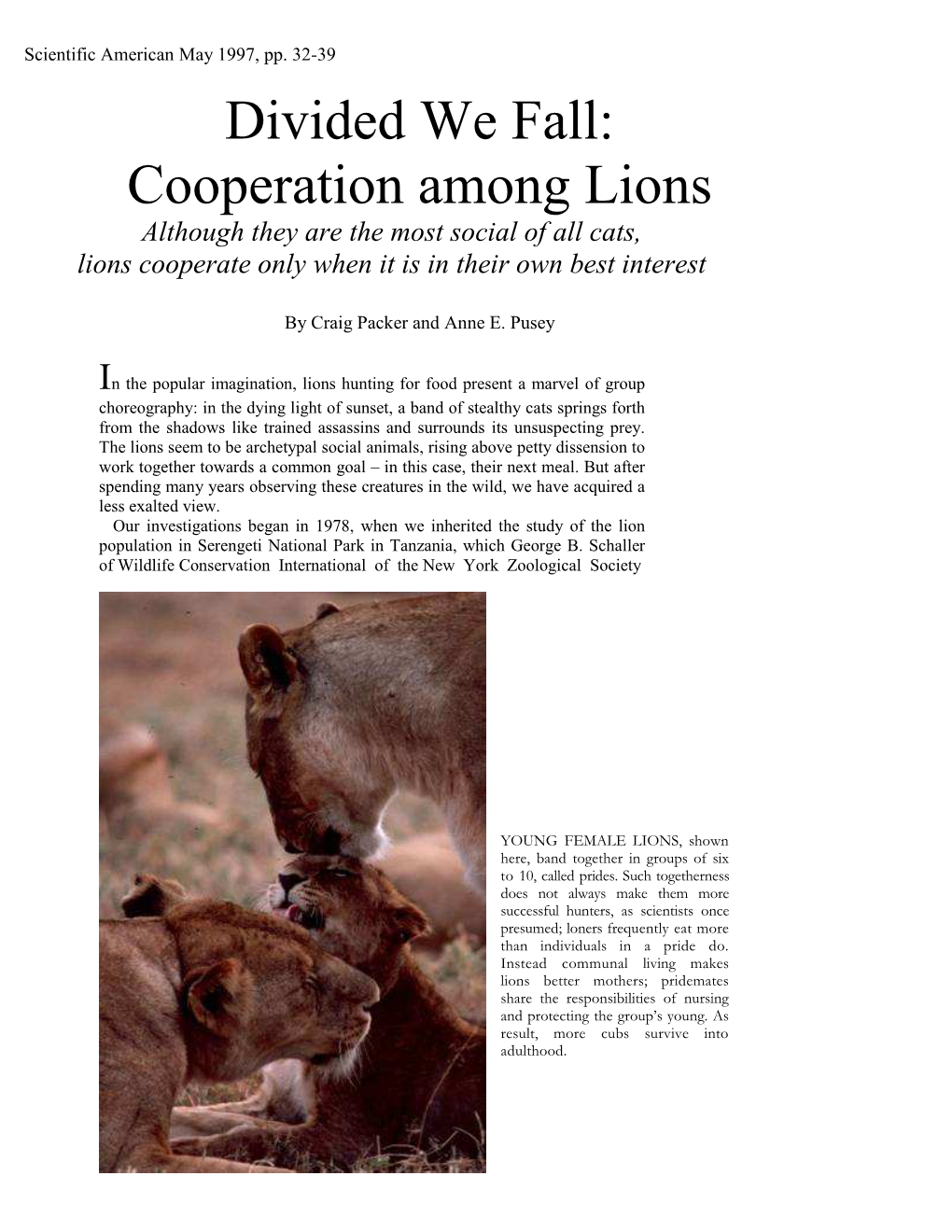 Divided We Fall: Cooperation Among Lions Although They Are the Most Social of All Cats, Lions Cooperate Only When It Is in Their Own Best Interest