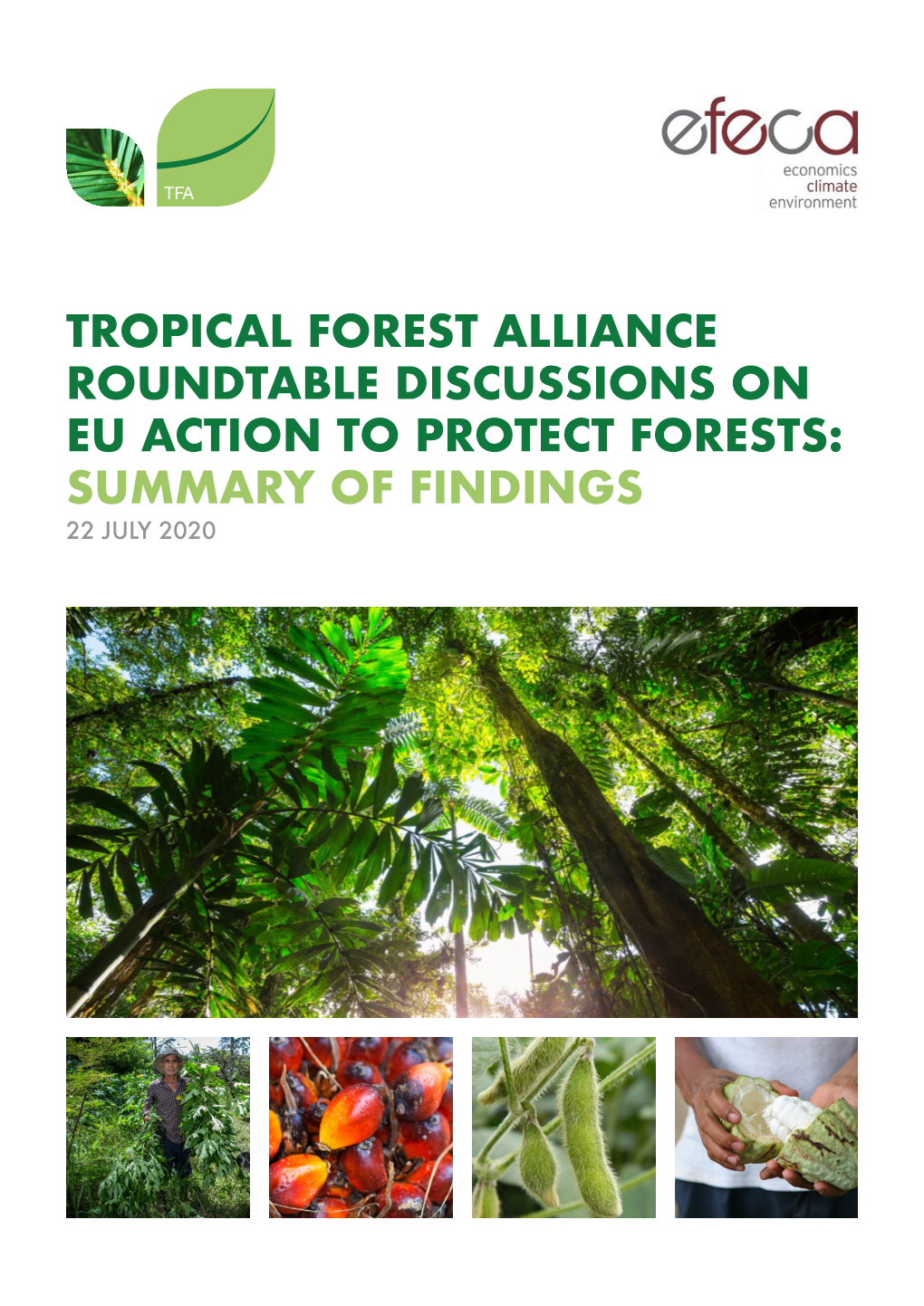 Tropical Forest Alliance Roundtable Discussions on Eu Action to Protect Forests: Summary of Findings 22 July 2020 Contents