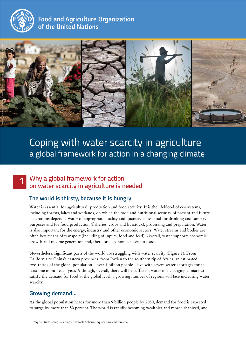 Coping with Water Scarcity in Agriculture: a Global Framework for Action in a Changing Climate