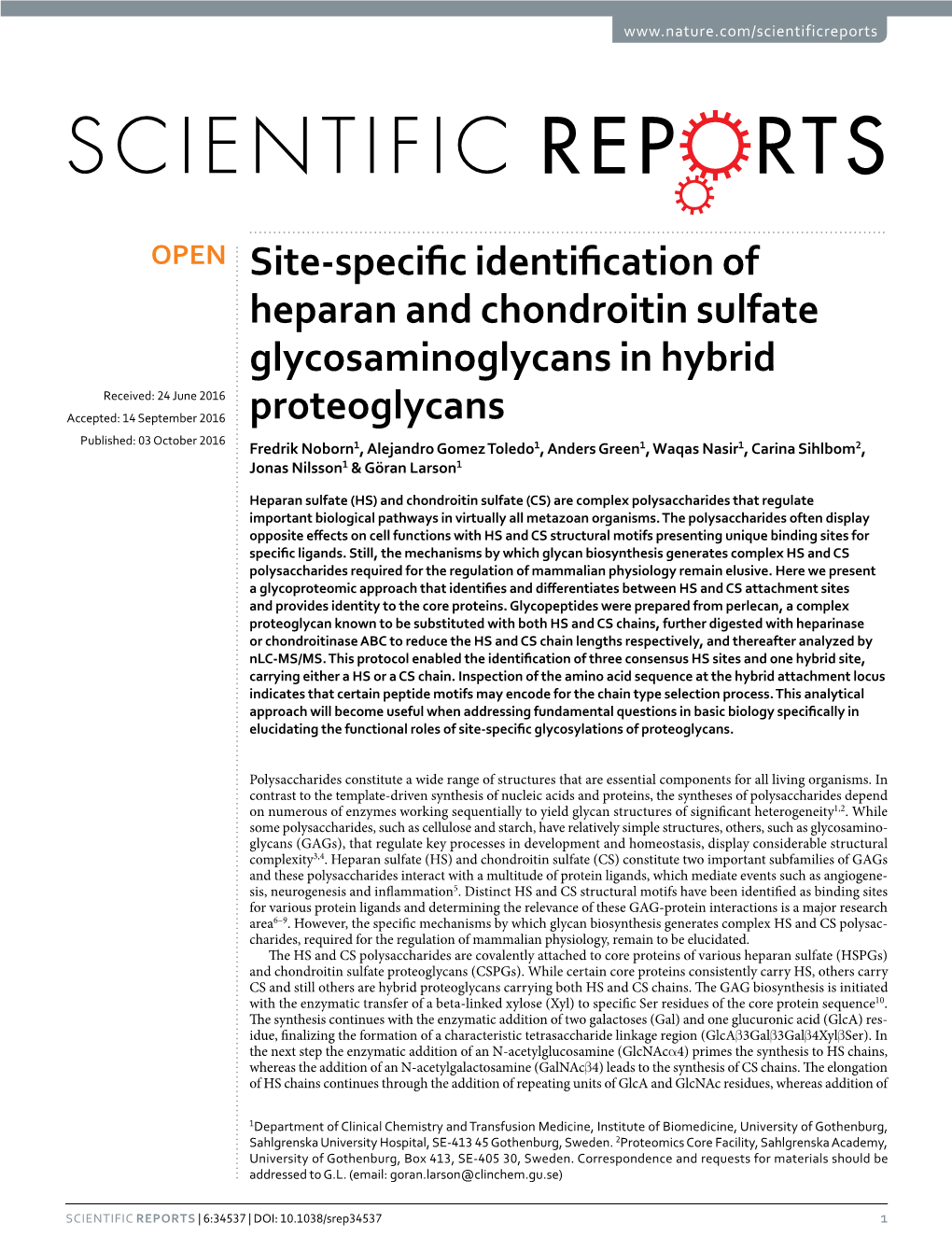 Site-Specific Identification of Heparan and Chondroitin Sulfate