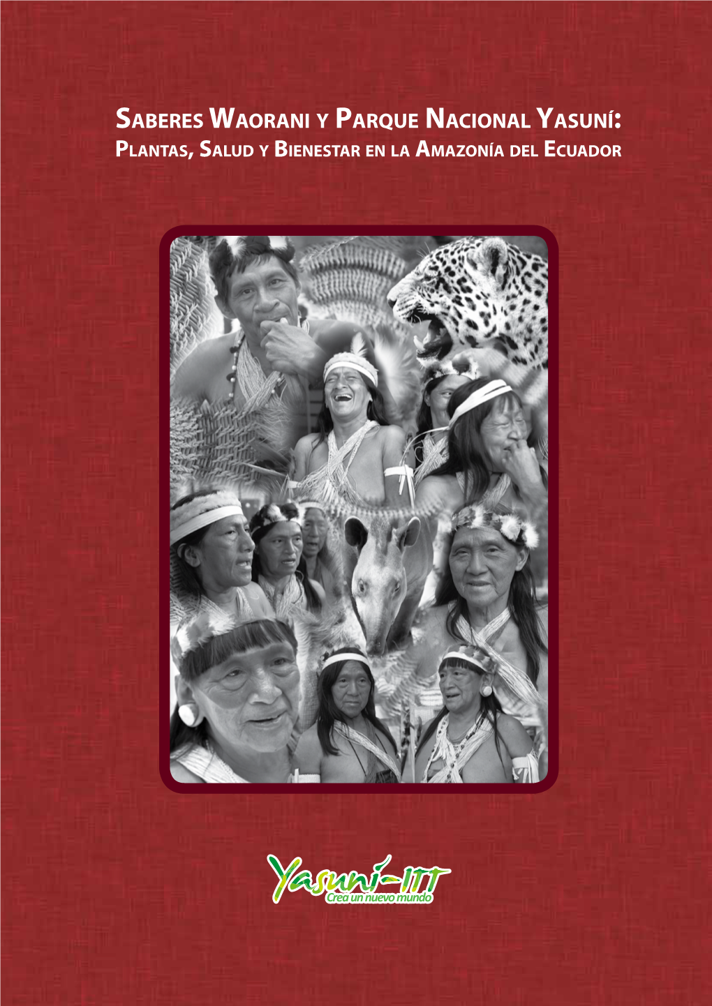 Saberes Waorani Y Parque Nacional Yasuní: Plantas, Salud Y Bienestar En La Amazonía Del Ecuador