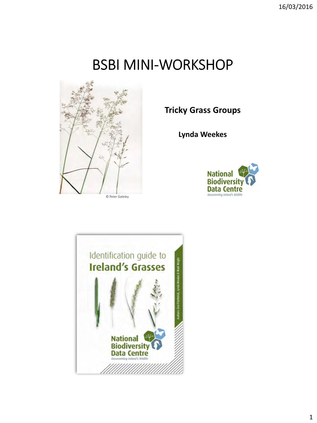 Bsbi Mini-Workshop