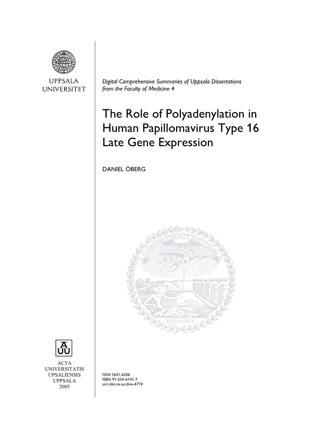 The Role of Polyadenylation in Human Papillomavirus Type 16 Late Gene Expression