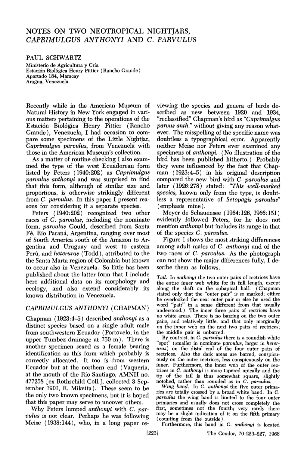 Notes on Two Neotropical Nightjars, Caprimulgus Anthonyi and C