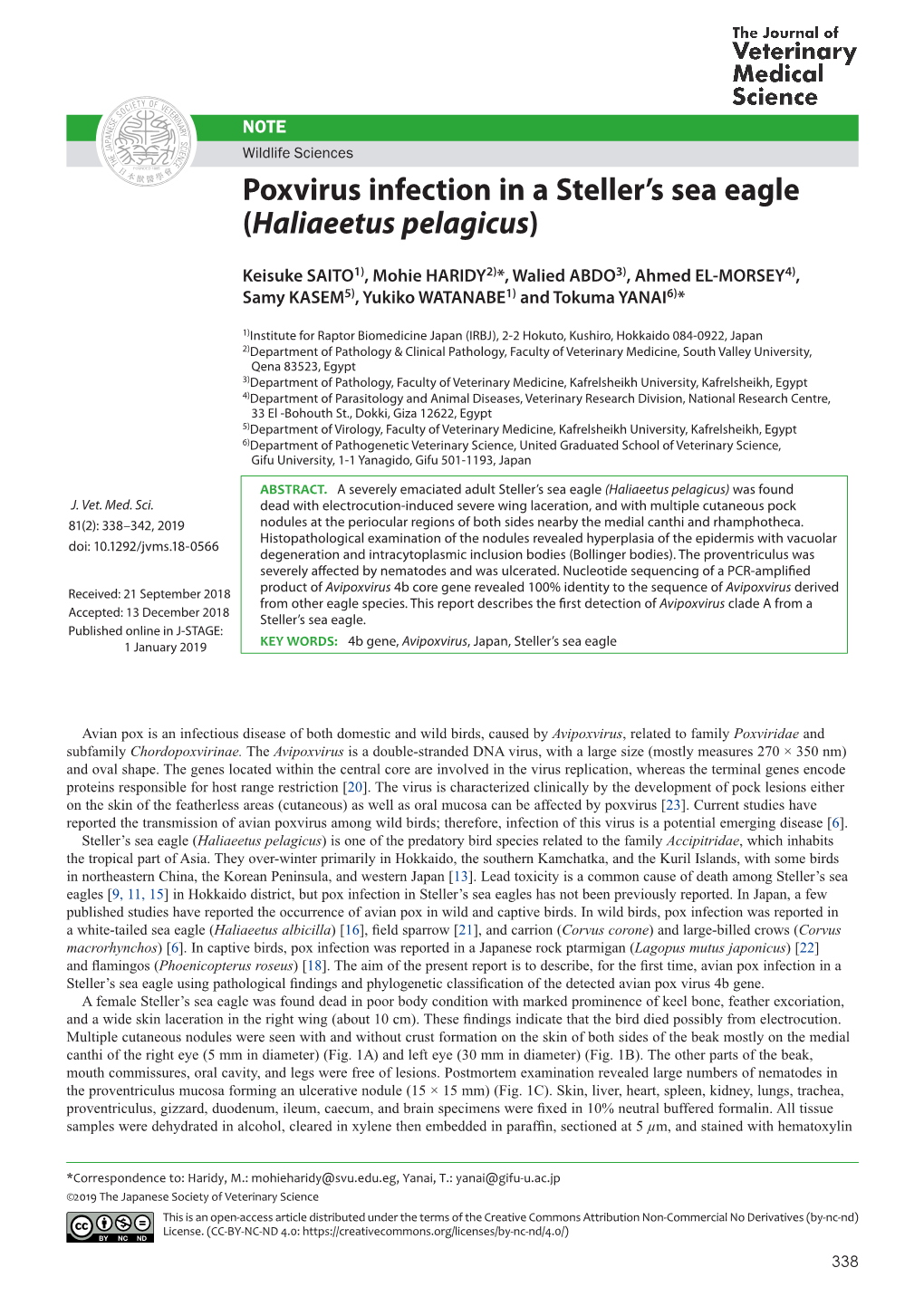 Poxvirus Infection in a Steller's Sea Eagle (Haliaeetus Pelagicus)