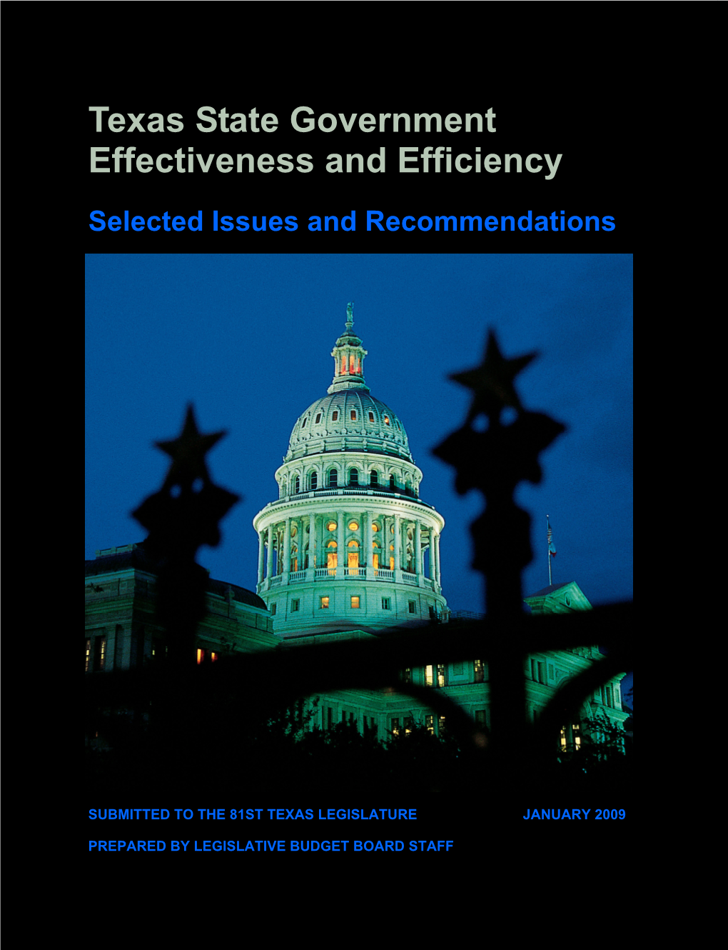 81St Legislature Government Effectiveness and Efficiency Report