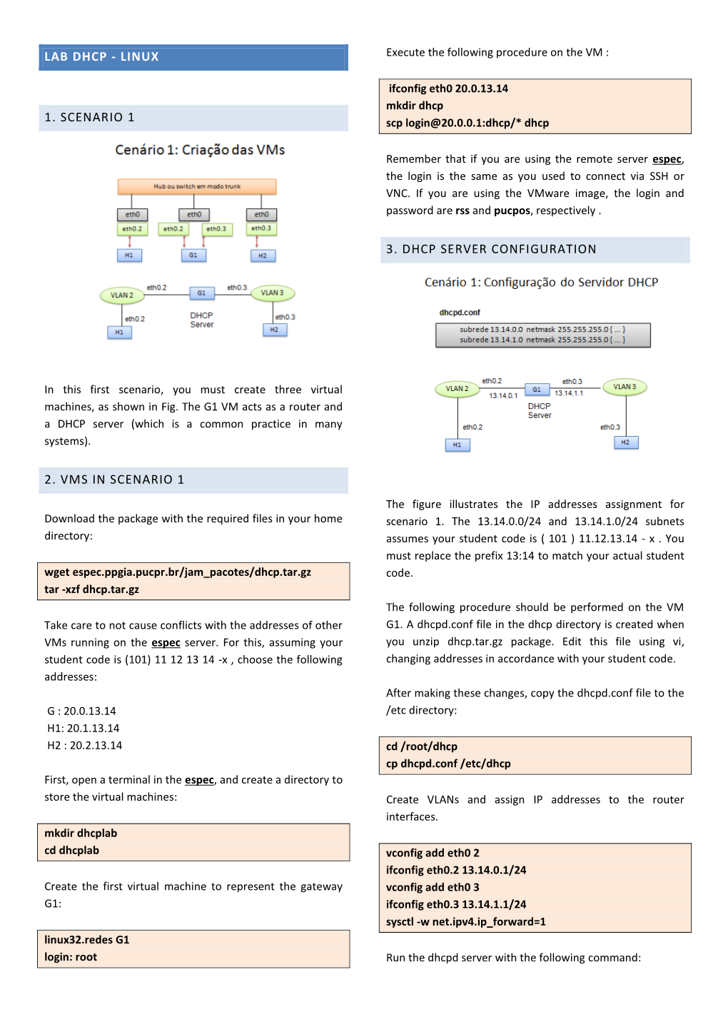 LAB DHCP - LINUX Execute the Following Procedure on the VM