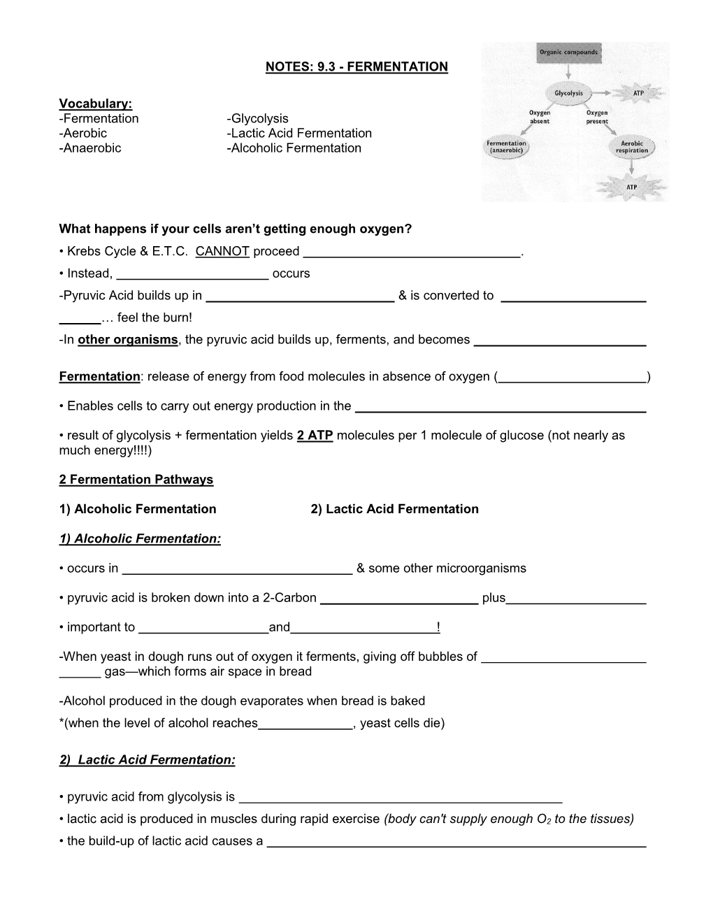 Notes: 9.3 - Fermentation