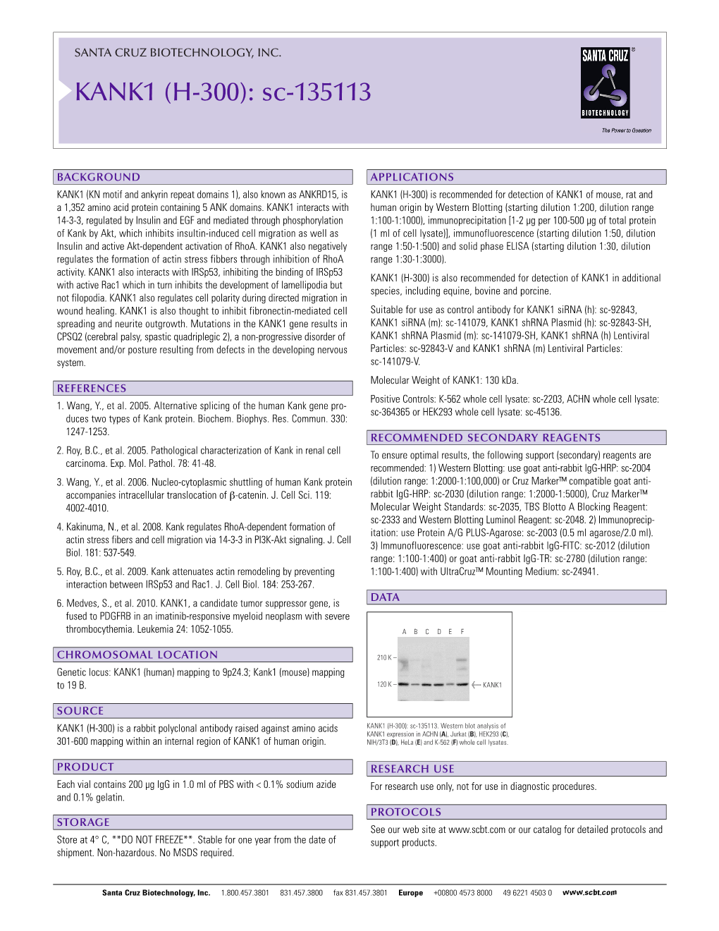 Datasheet Blank Template