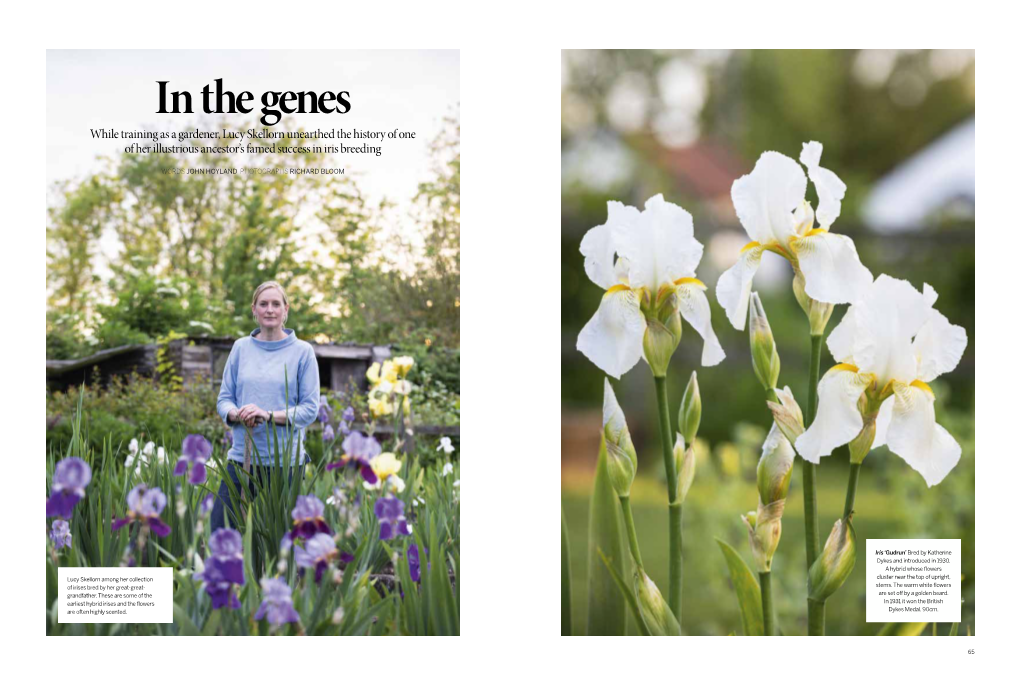 Gallery/Gardens-Illustrated-287-P064-074-Skellorn-Irises