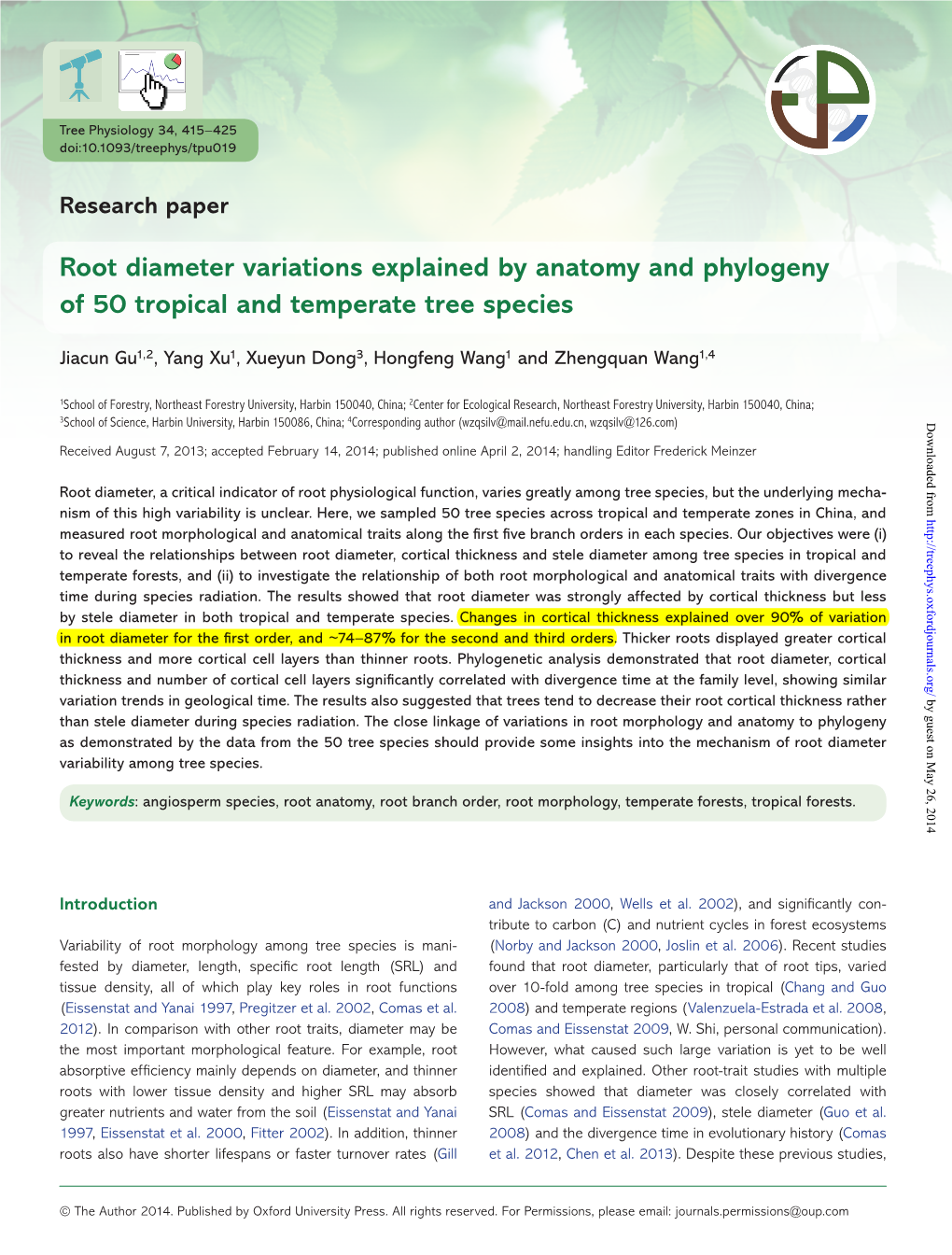 Root Diameter Variations Explained by Anatomy and Phylogeny of 50 Tropical and Temperate Tree Species