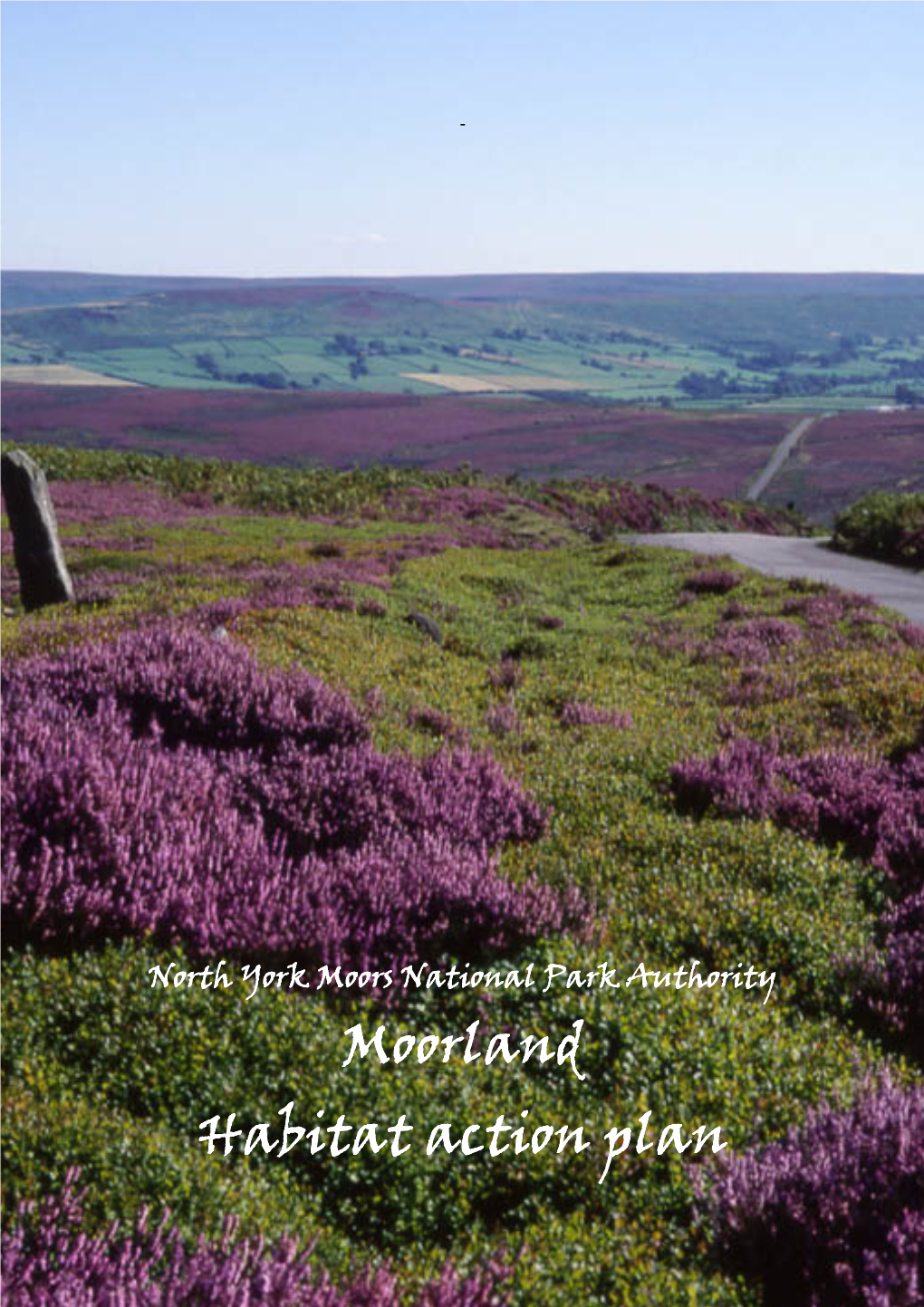 Moorland Habitat Action Plan 2008 - 2012