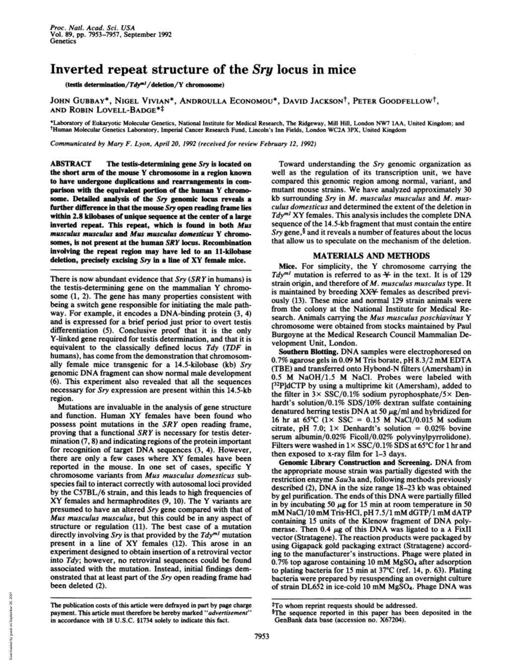 Inverted Repeat Structure of the Sry Locus in Mice