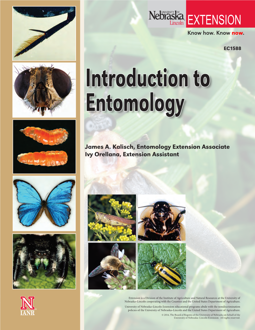 Introduction to Entomology