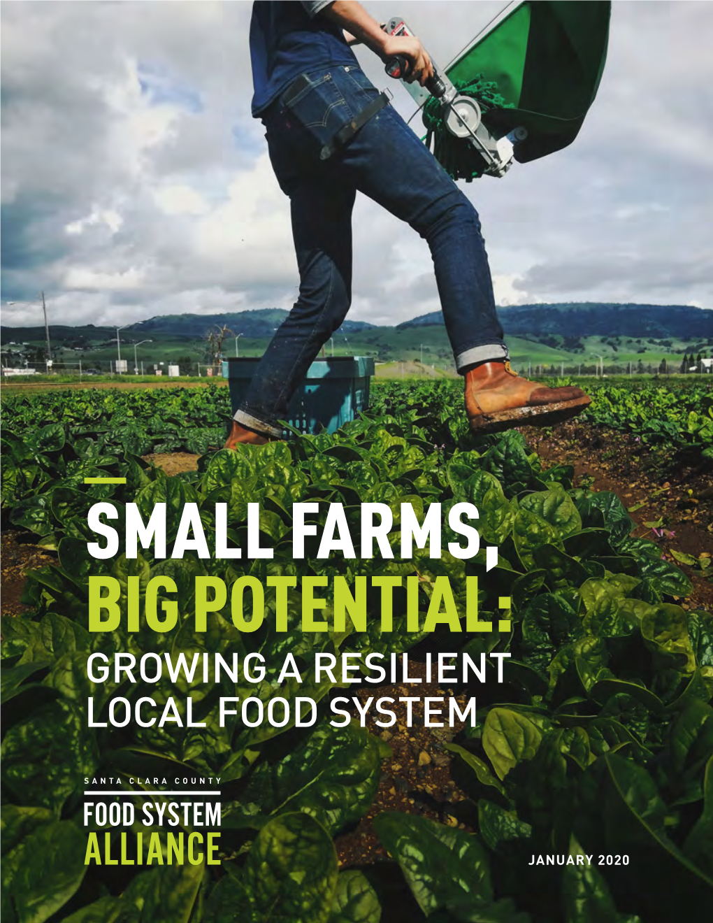 Small Farms, Big Potential: Growing a Resilient Local Food System