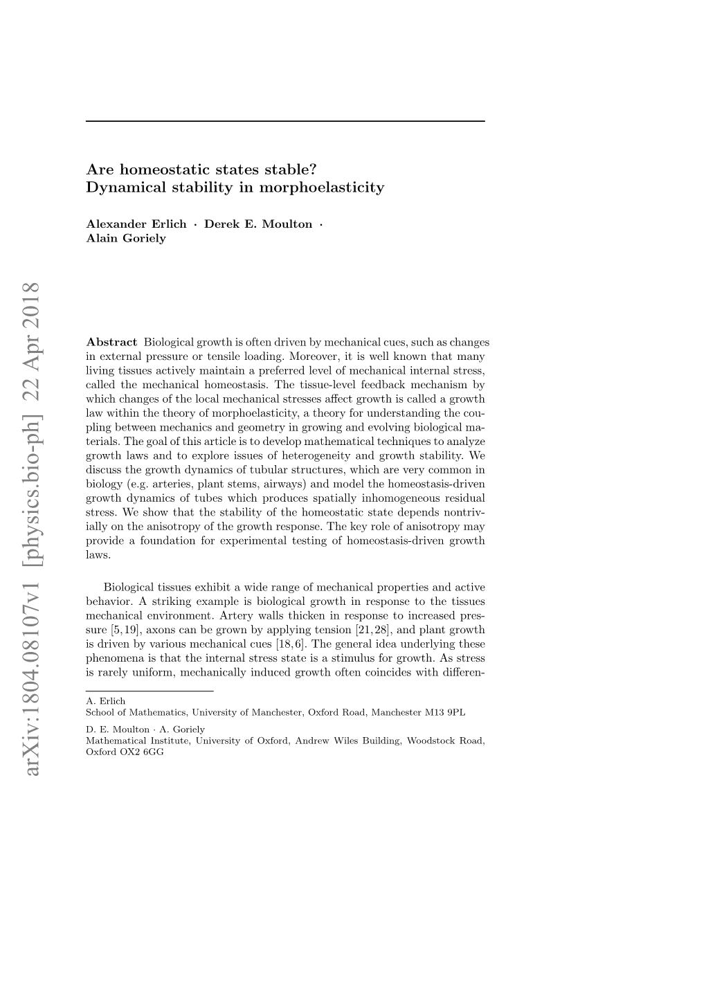 Are Homeostatic States Stable? Dynamical Stability in Morphoelasticity