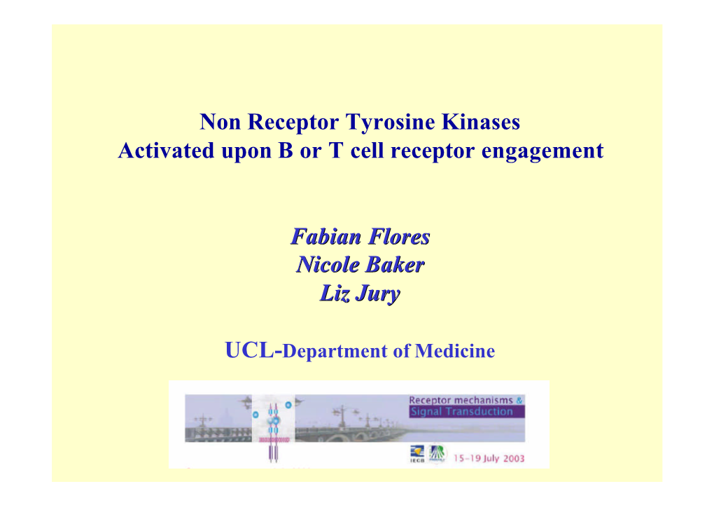 Non Receptor Tyrosine Kinases Activated Upon B Or T Cell Receptor Engagement