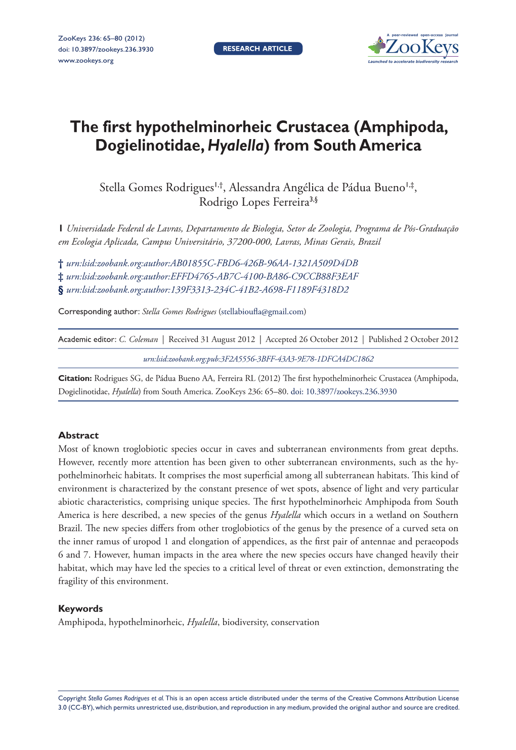 The First Hypothelminorheic Crustacea (Amphipoda, Dogielinotidae, Hyalella) from South America