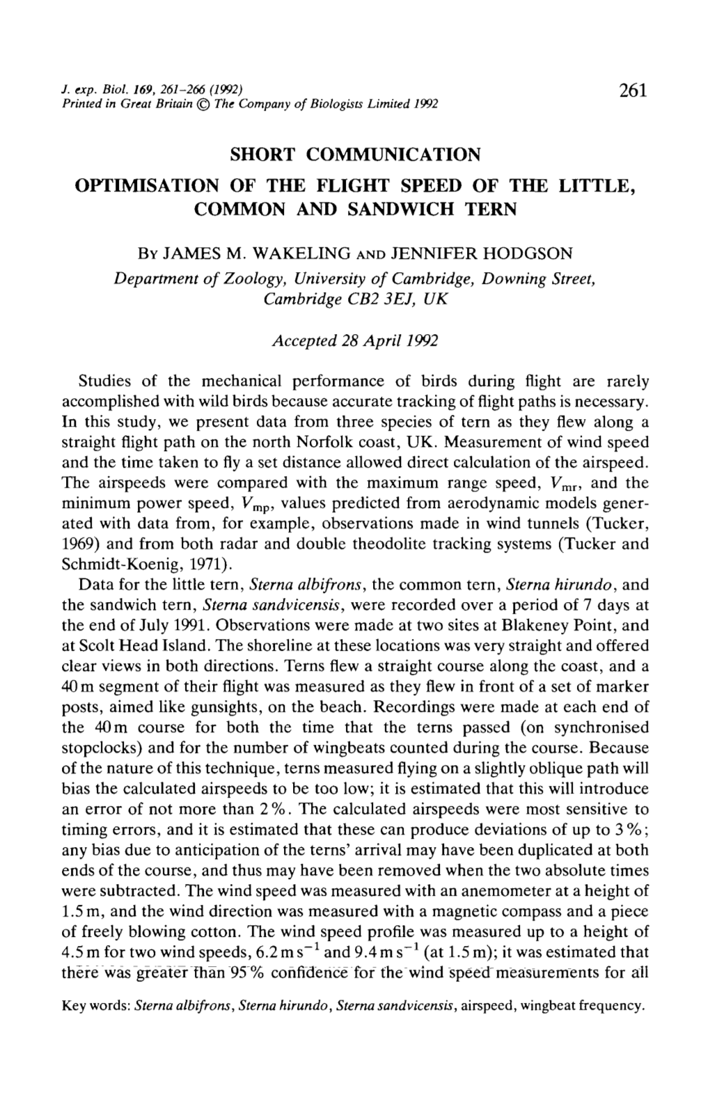 Short Communication: Optimisation of the Flight Speed of the Little