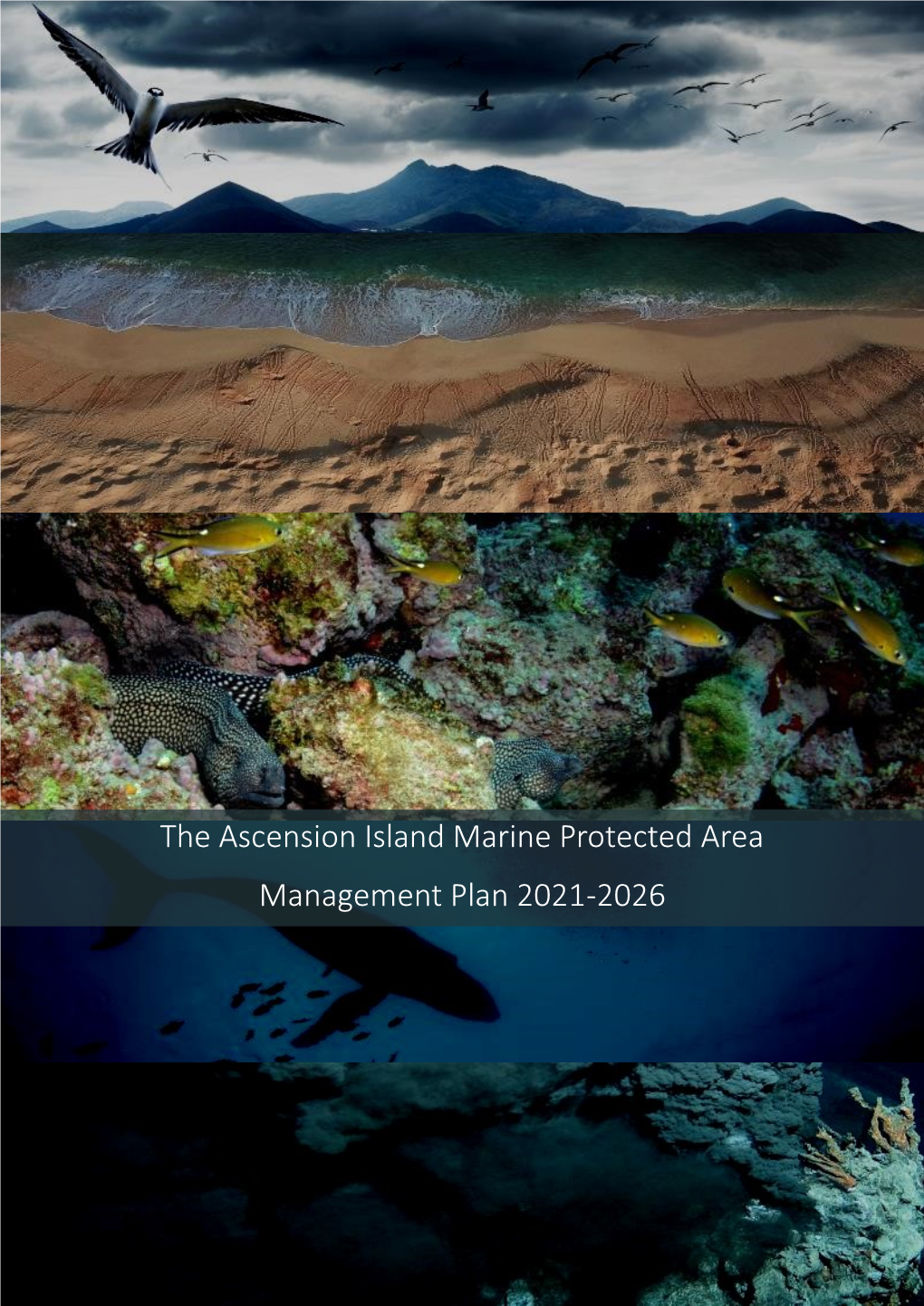The Ascension Island Marine Protected Area Management Plan 2021-2026