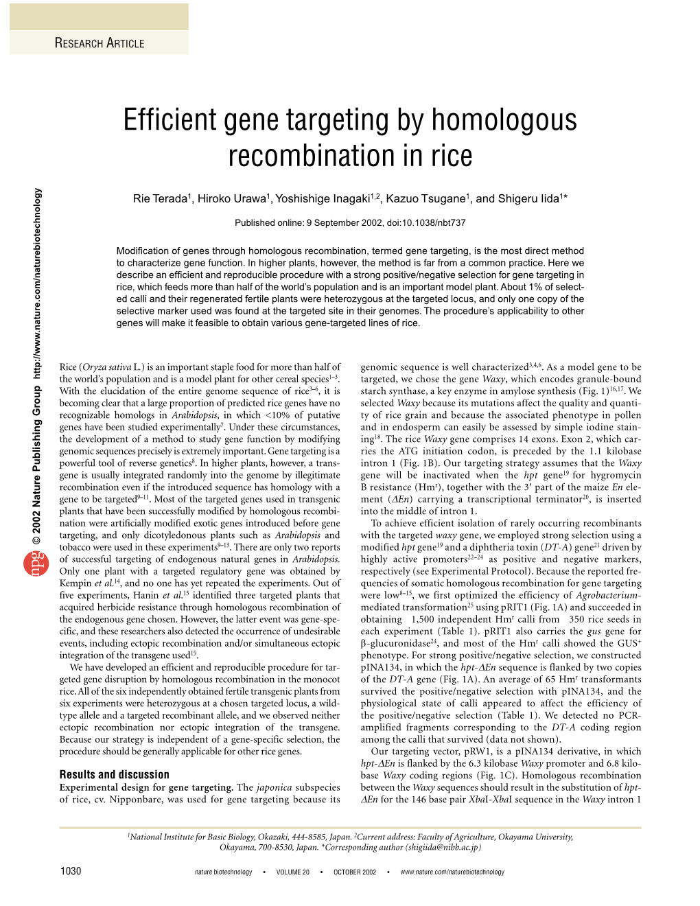 Efficient Gene Targeting by Homologous Recombination in Rice