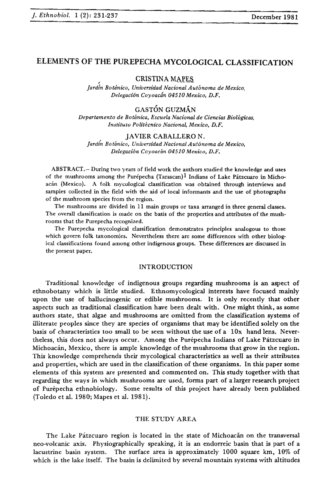 Elements of the Purepecha Mycological Classification