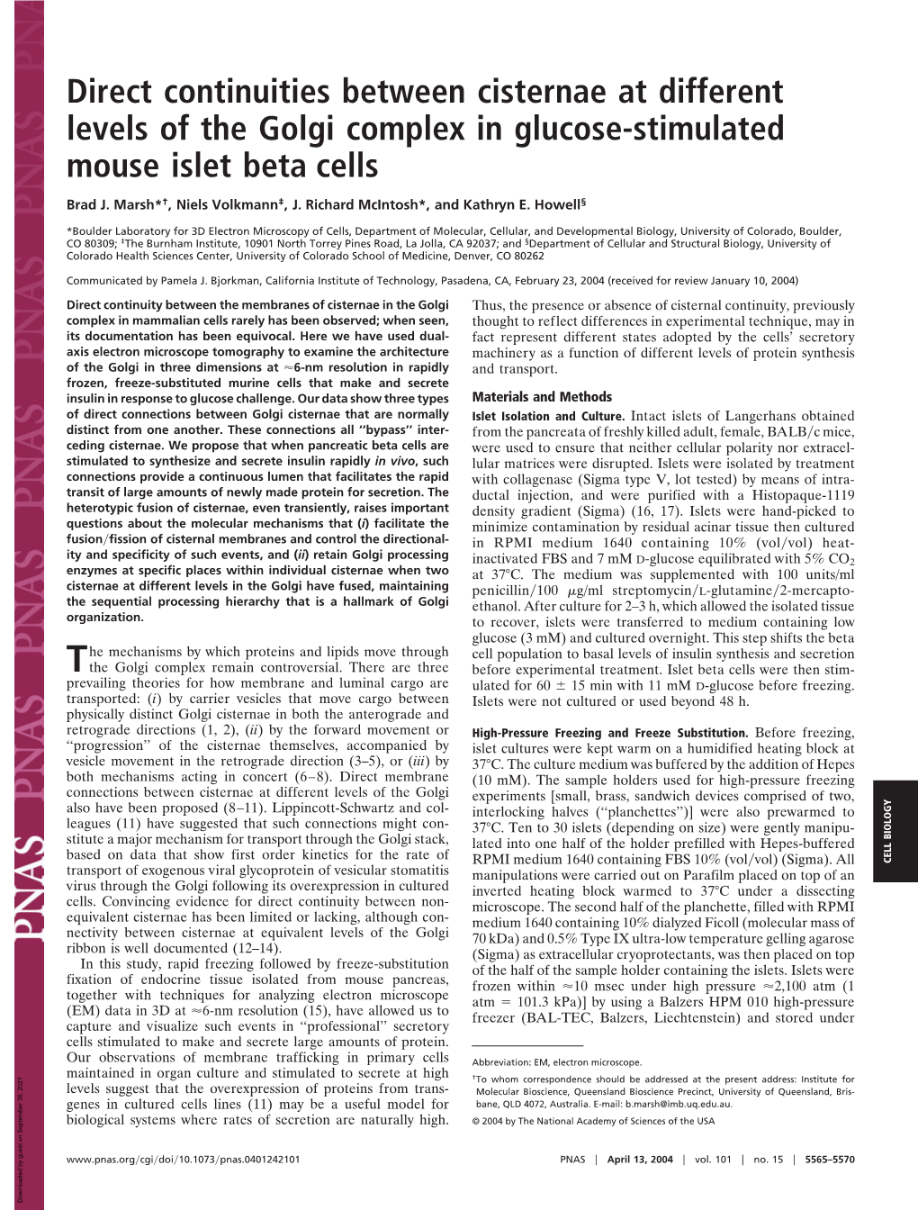 Direct Continuities Between Cisternae at Different Levels of the Golgi Complex in Glucose-Stimulated Mouse Islet Beta Cells