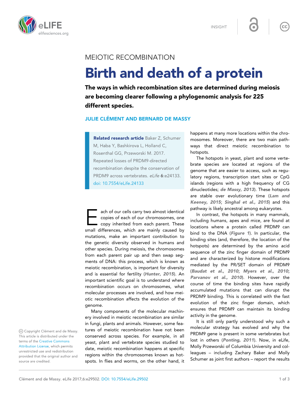 Birth and Death of a Protein