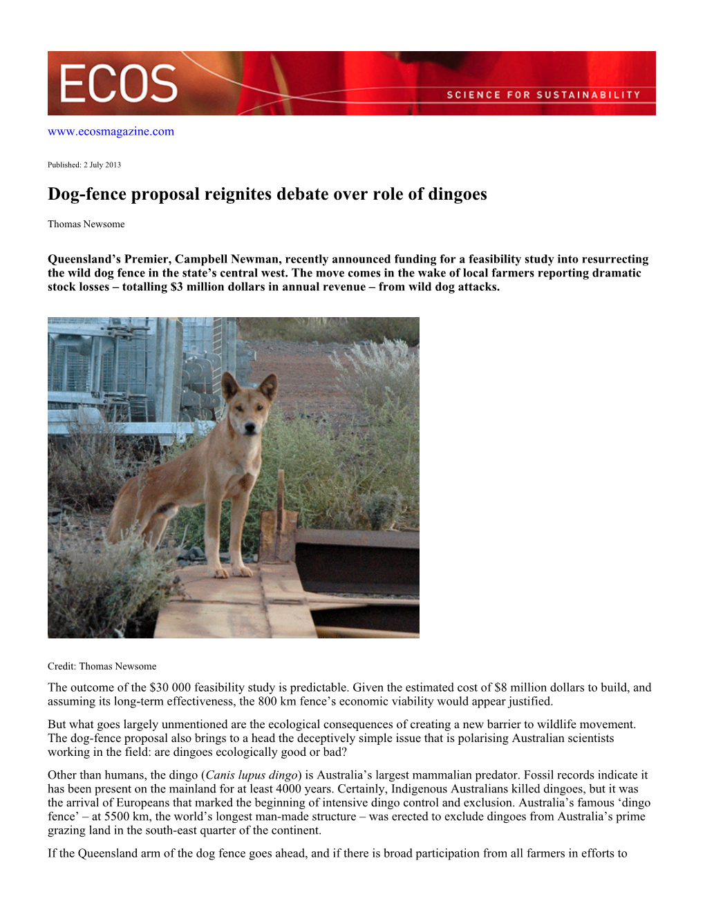 Dog-Fence Proposal Reignites Debate Over Role of Dingoes