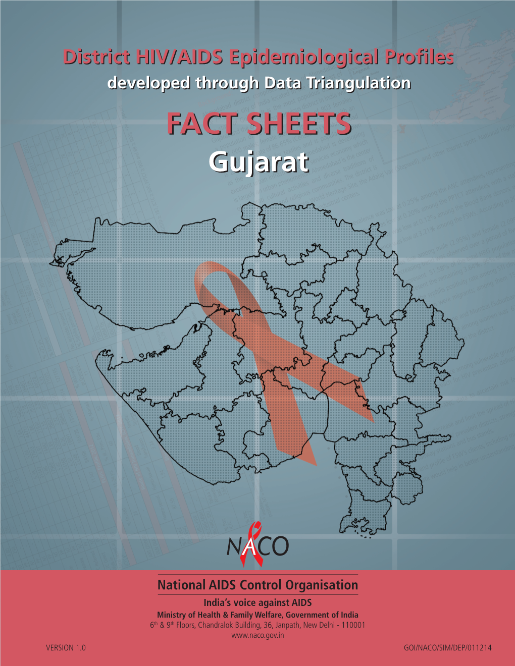 District HIV/AIDS Epidemiological Profiles