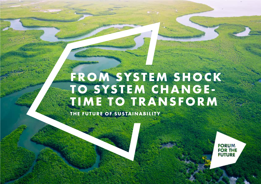 From System Shock to System Change- Time to Transform the Future of Sustainability