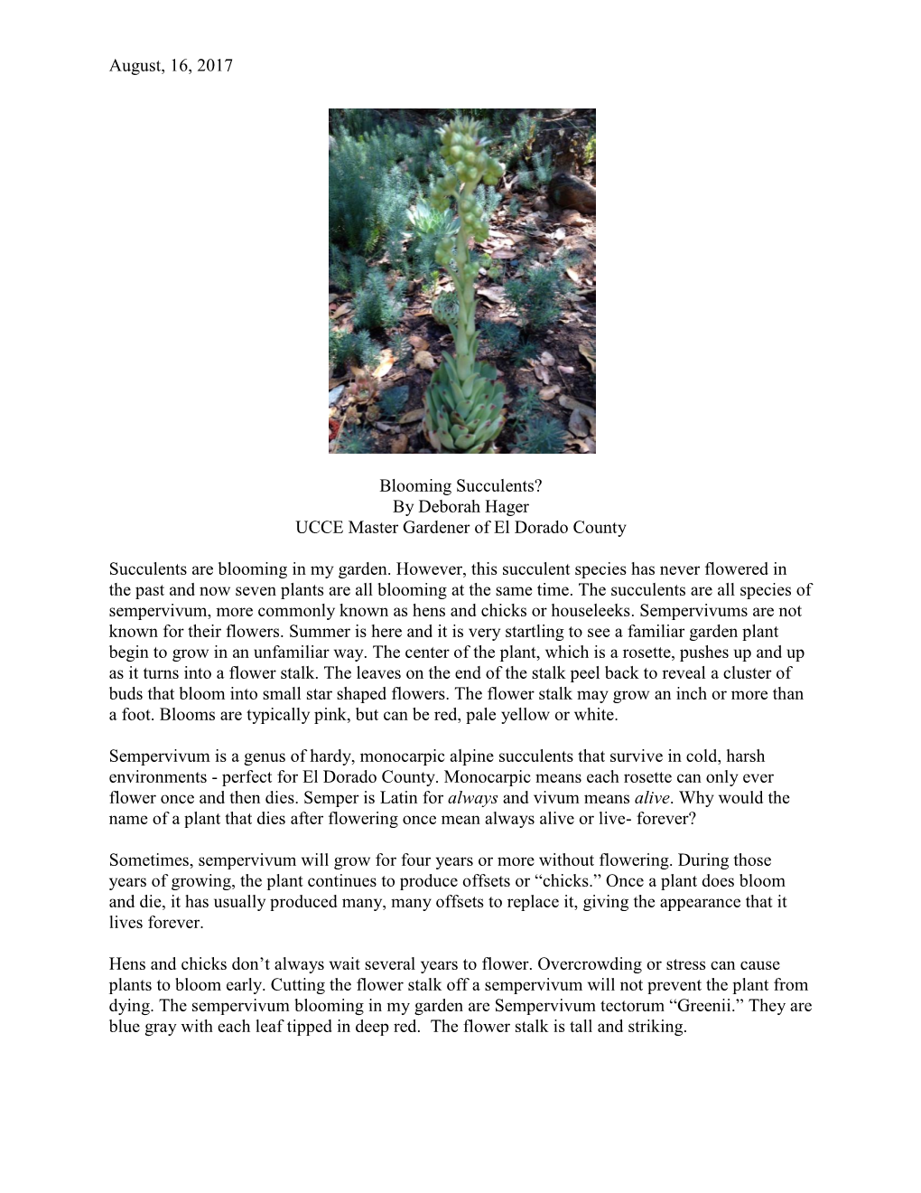 Blooming Succulents? by Deborah Hager UCCE Master Gardener of El Dorado County