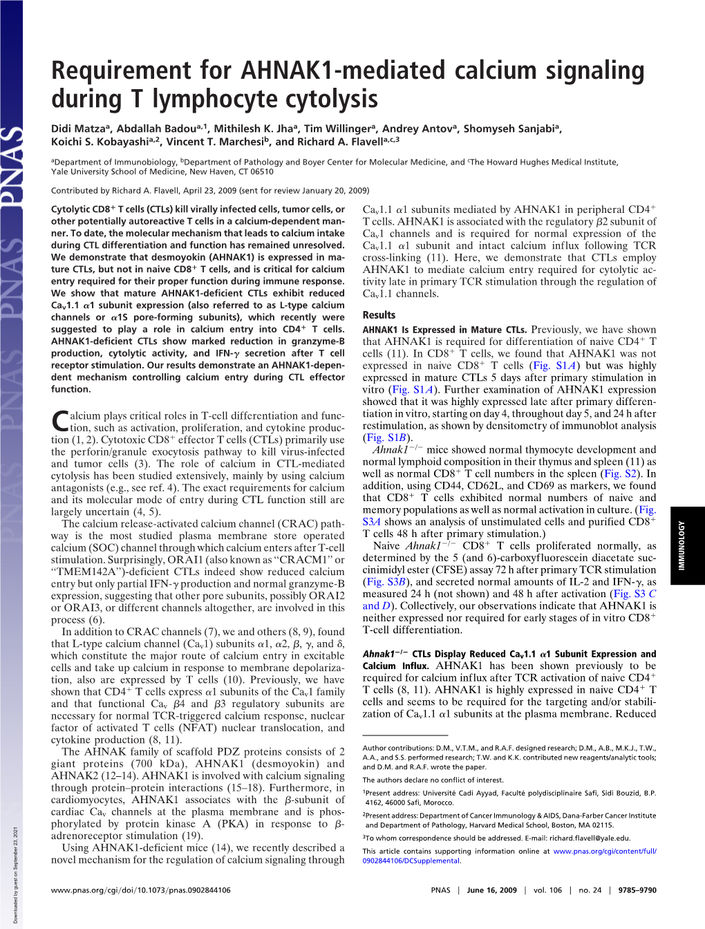 Requirement for AHNAK1-Mediated Calcium Signaling During T Lymphocyte Cytolysis