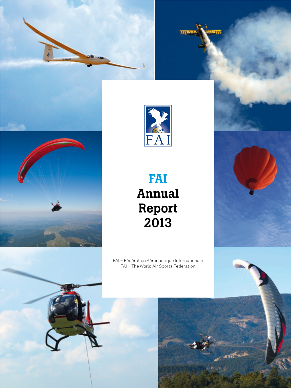 FAI Annual Report 2013