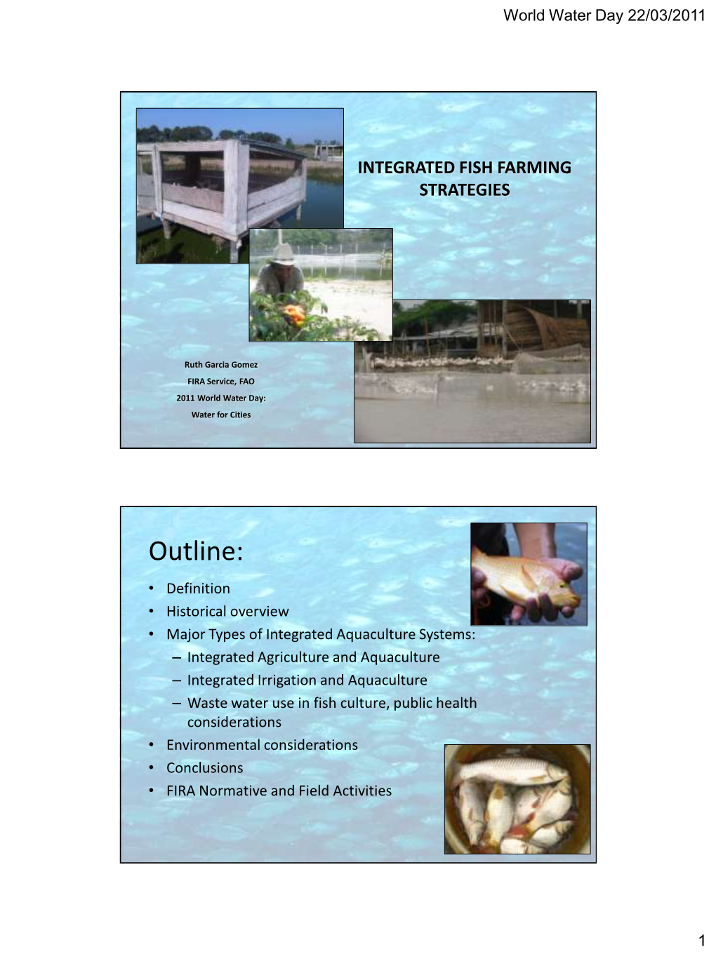 Integrated Fish Farming Strategies