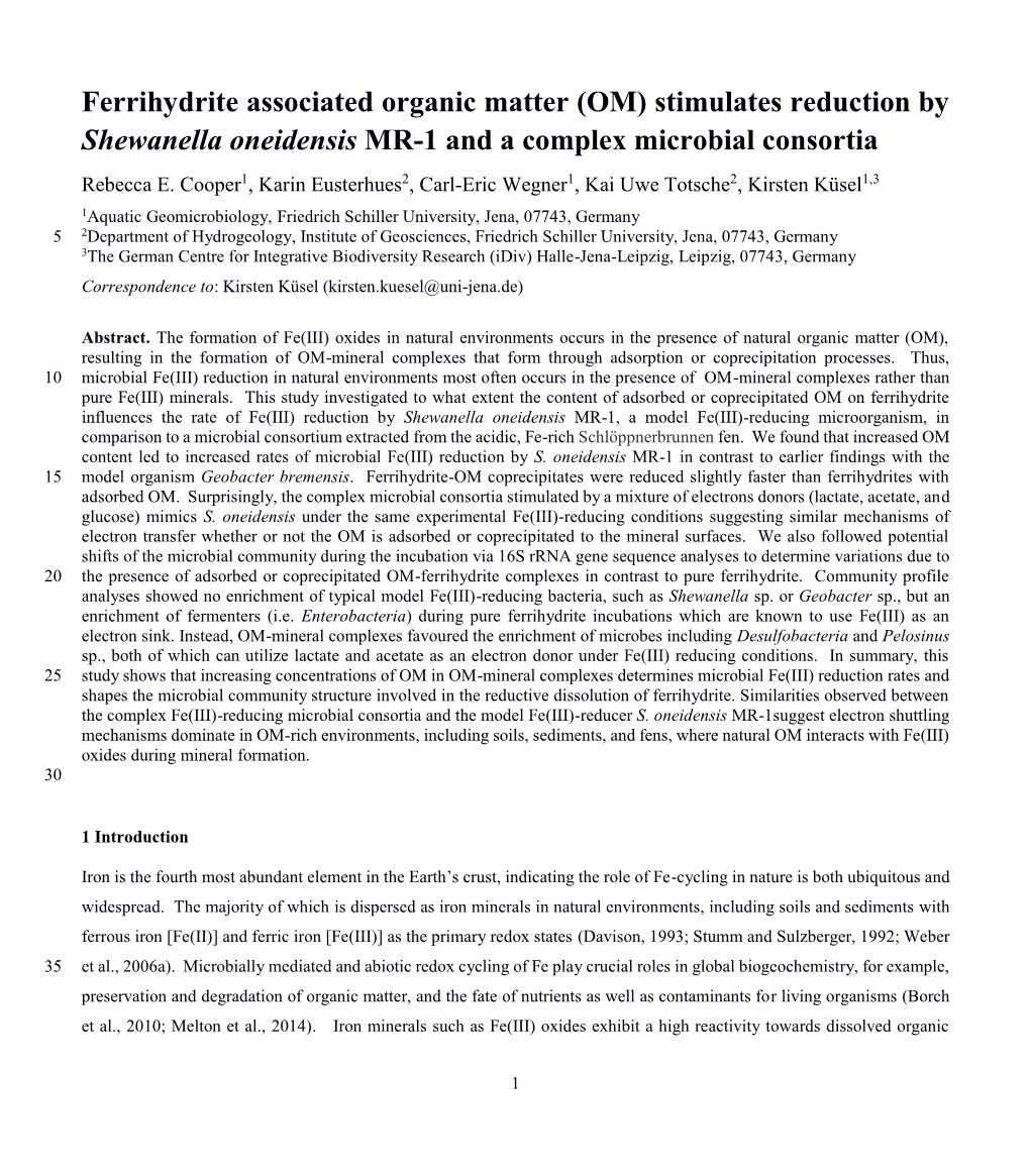 Ferrihydrite Associated Organic Matter (OM) Stimulates Reduction by Shewanella Oneidensis MR-1 and a Complex Microbial Consortia Rebecca E