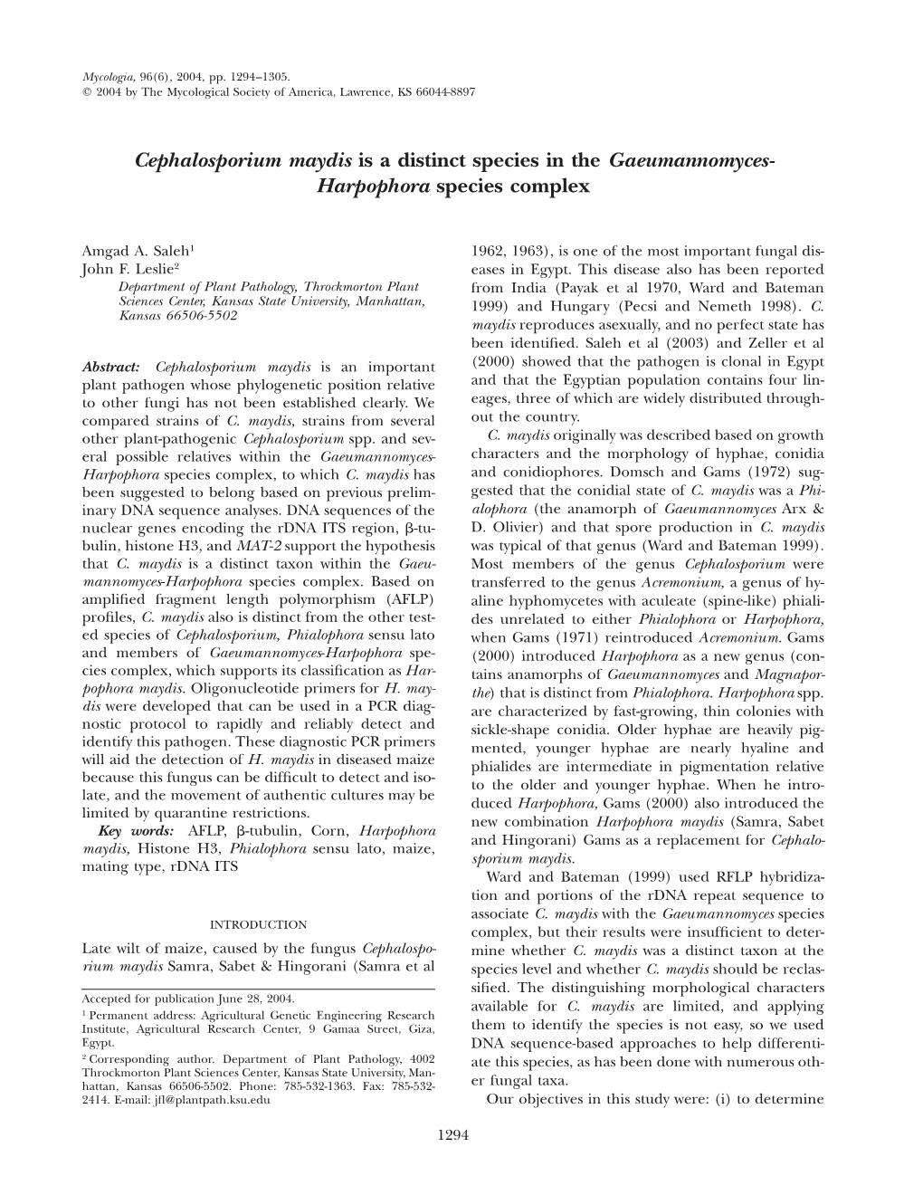 Cephalosporium Maydis Is a Distinct Species in the Gaeumannomyces- Harpophora Species Complex