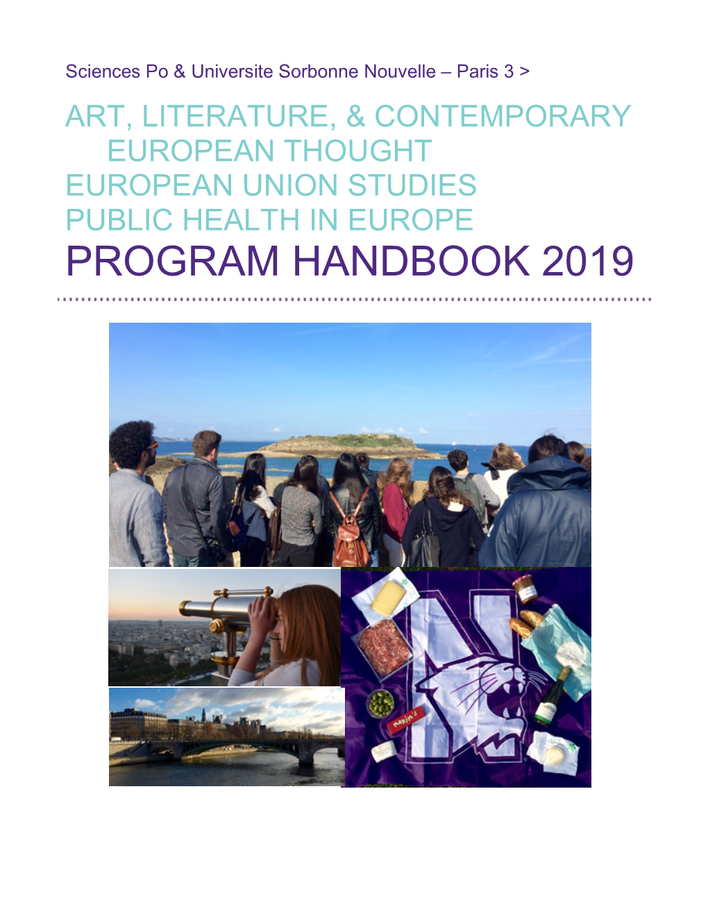 Program Handbook 2019