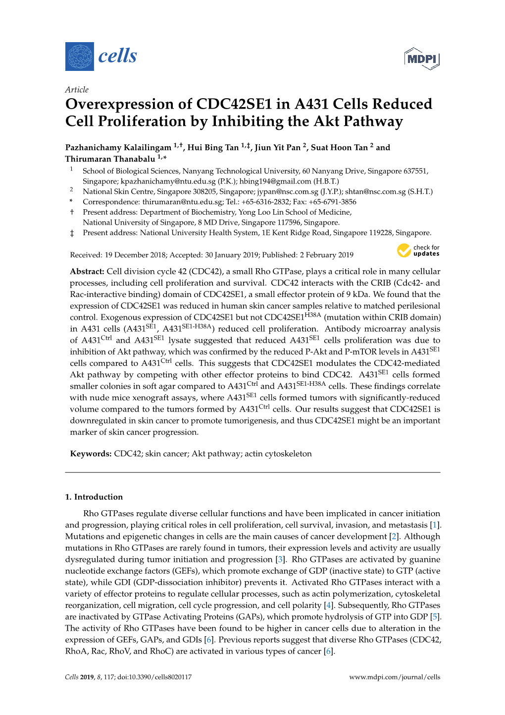 Overexpression of CDC42SE1 in A431 Cells Reduced Cell Proliferation by Inhibiting the Akt Pathway