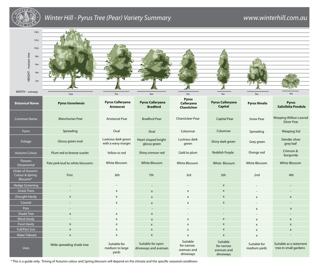 Pyrus Tree (Pear) Variety Summary