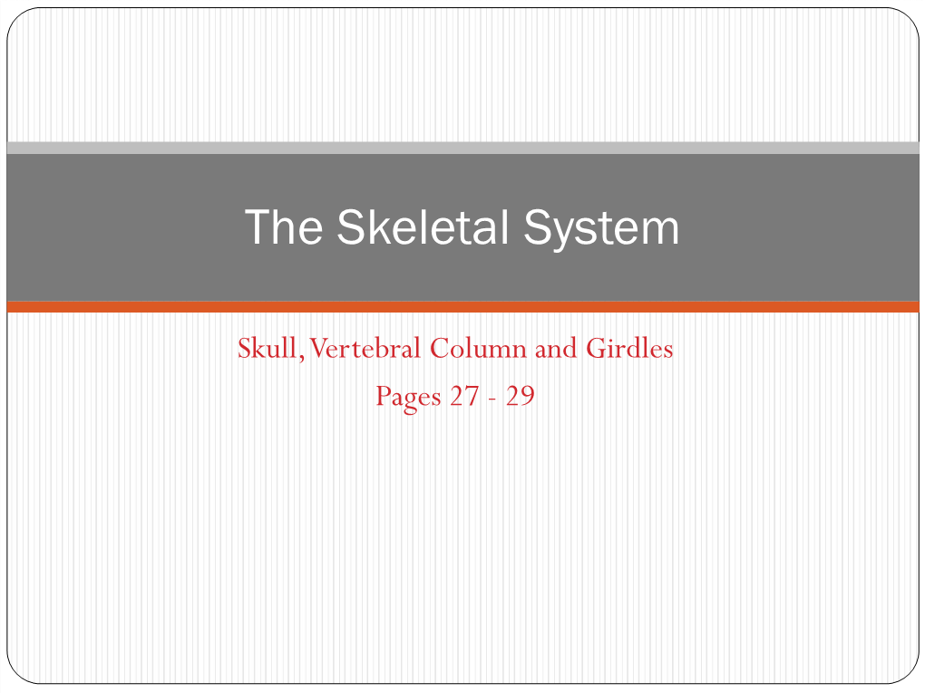 The Skull and Vertebral Column