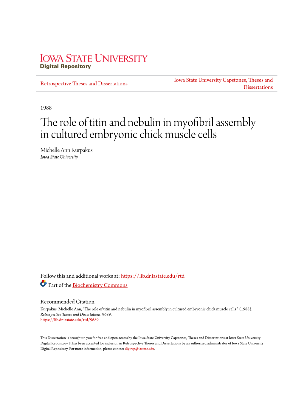 The Role of Titin and Nebulin in Myofibril Assembly in Cultured Embryonic Chick Muscle Cells